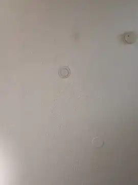 Snapshot of geilerschwanz64 chatting on January 10, 2025, 7:04 am geilerschwanz64 online show from January 10, 2025, 7:04 am