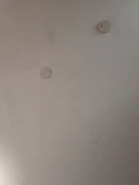 Snapshot of geilerschwanz64 chatting on January 18, 2025, 11:21 am geilerschwanz64 online show from January 18, 2025, 11:21 am