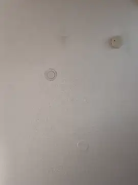 Snapshot of geilerschwanz64 chatting on January 18, 2025, 4:31 pm geilerschwanz64 online show from January 18, 2025, 4:31 pm