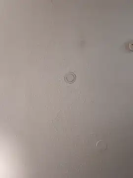 Snapshot of geilerschwanz64 chatting on February 2, 2025, 4:00 pm geilerschwanz64 online show from February 2, 2025, 4:00 pm