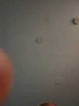 Snapshot of geilerschwanz64 chatting on March 3, 2025, 5:50 pm geilerschwanz64 online show from March 3, 2025, 5:50 pm