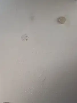 Snapshot of geilerschwanz64 chatting on March 12, 2025, 11:09 am geilerschwanz64 online show from March 12, 2025, 11:09 am