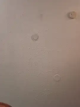 Snapshot of geilerschwanz64 chatting on March 20, 2025, 3:36 pm geilerschwanz64 online show from March 20, 2025, 3:36 pm