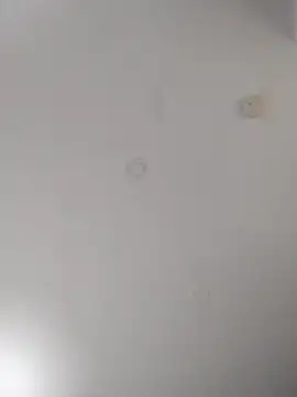 Snapshot of geilerschwanz64 chatting on September 22, 2025, 7:05 pm geilerschwanz64 online show from September 22, 2025, 7:05 pm