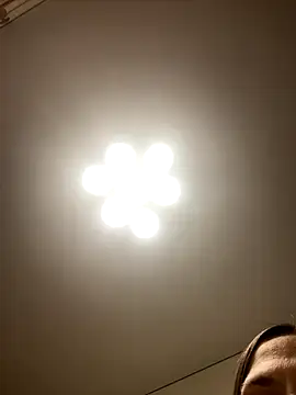 Janet Welder online show from November 15, 2025, 1:03 am