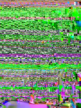 Curveysinaa online show from January 26, 2025, 4:20 am