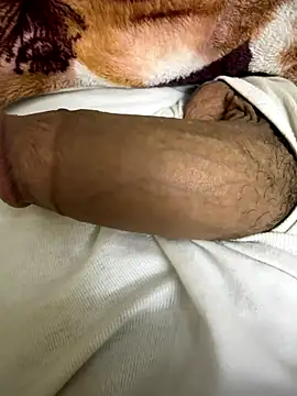 hamed-697 online show from December 3, 2024, 7:00 pm