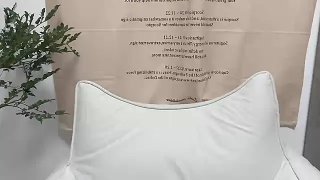 Snapshot of Arrebo1 chatting on December 4, 2024, 2:37 pm Arrebo1 online show from December 4, 2024, 2:37 pm