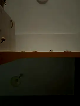 Lecatore80 online show from November 9, 2025, 7:50 am