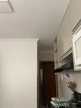 Snapshot of pteno1 chatting on January 2, 2025, 1:19 pm pteno1 online show from January 2, 2025, 1:19 pm