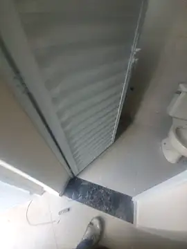 janjuniior online show from December 16, 2025, 12:54 pm