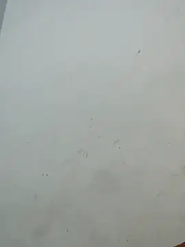 Snapshot of Sania-Love chatting on December 2, 2025, 11:11 pm Sania-Love online show from December 2, 2025, 11:11 pm