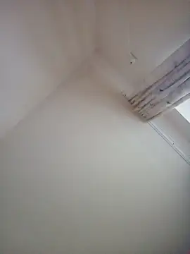 Virgin Pussy Love online show from February 8, 2025, 3:00 pm