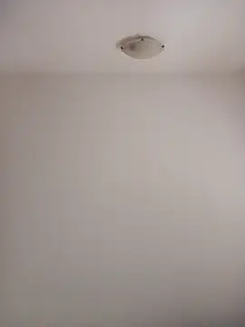 Virgin Pussy Love online show from October 27, 2025, 1:26 pm