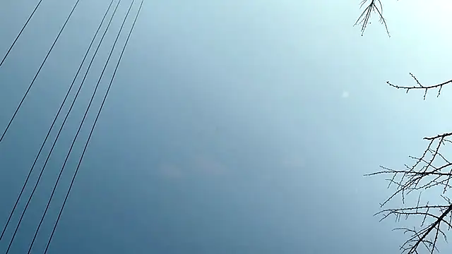 QianF-666 online show from February 13, 2025, 9:30 am