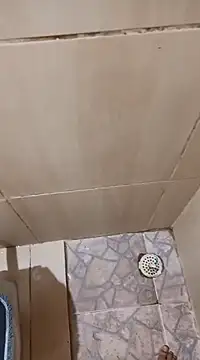 Snapshot of 1995eduardo chatting on February 21, 2025, 1:22 pm 1995eduardo online show from February 21, 2025, 1:22 pm