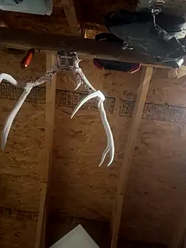 Snapshot of dcockell chatting on October 23, 2025, 4:01 am dcockell online show from October 23, 2025, 4:01 am