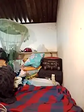 SL-WASI online show from November 14, 2025, 9:08 am