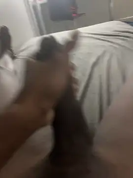 arrete2025 online show from February 3, 2025, 1:08 pm