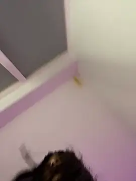 bonnie 18x online show from February 26, 2025, 5:31 am