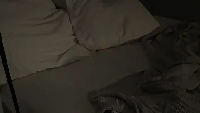 Snapshot of Dylansd chatting on December 28, 2024, 10:14 am Dylansd online show from December 28, 2024, 10:14 am