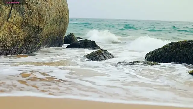  sex in paradise  online show from December 4, 2024, 12:41 am