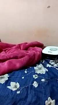 Snapshot of maftel chatting on December 27, 2024, 1:53 am maftel online show from December 27, 2024, 1:53 am