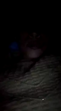 Snapshot of maftel chatting on February 19, 2025, 12:57 am maftel online show from February 19, 2025, 12:57 am