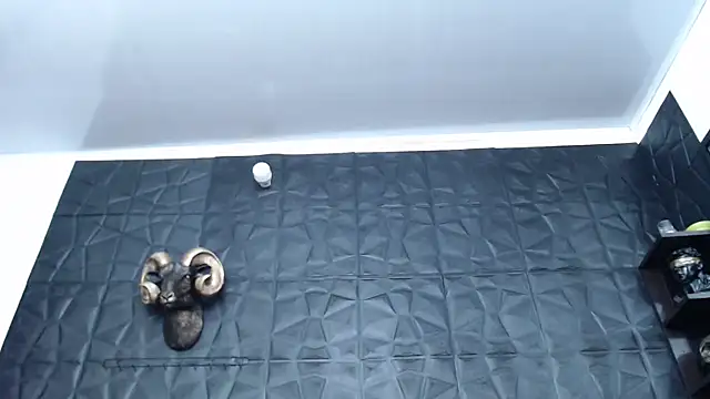 Hanna Fox 69 online show from February 5, 2025, 4:59 am