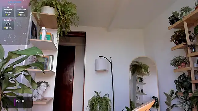 Johaphyton online show from January 18, 2025, 9:13 pm