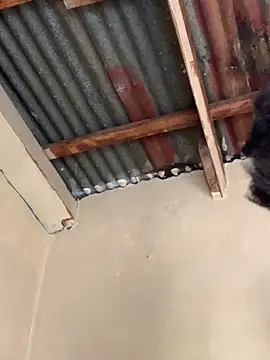 SEXY TOKYOxxx online show from October 22, 2025, 6:24 am