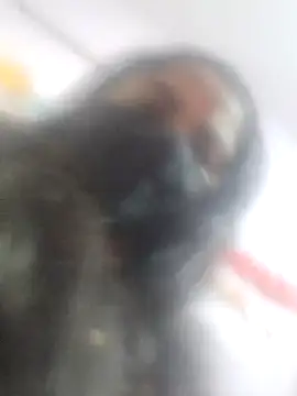 sana14 online show from February 27, 2025, 3:04 am