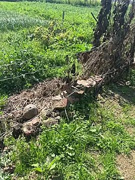 poision51 online show from February 23, 2025, 7:55 am