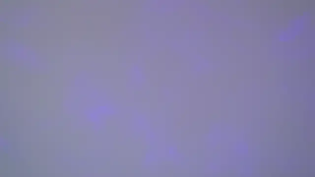 SelinSwarovski online show from November 1, 2025, 5:09 am