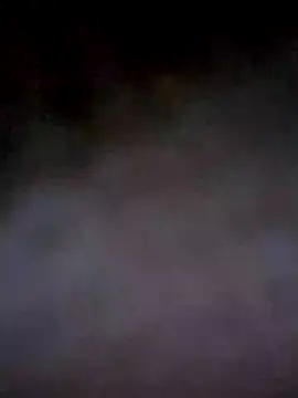 Snapshot of PracticalGum40 chatting on December 4, 2024, 3:37 am PracticalGum40 online show from December 4, 2024, 3:37 am