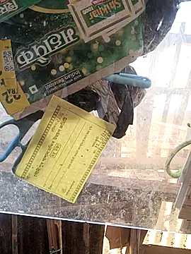 Skinny Bigass 23 online show from November 16, 2025, 7:25 am