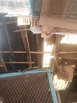 Skinny Bigass 23 online show from December 1, 2025, 7:57 am