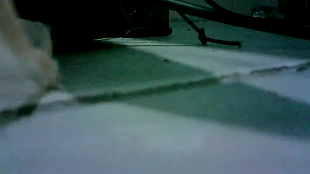 Snapshot of patynalgona chatting on October 18, 2025, 11:00 am patynalgona online show from October 18, 2025, 11:00 am