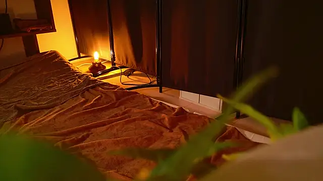 undo-busoku69 online show from February 18, 2025, 1:22 pm