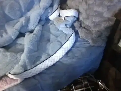 housewife shantie online show from March 7, 2025, 6:54 pm