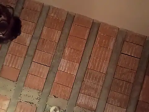 jtf4055 online show from September 13, 2025, 9:42 am