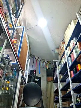 nidia2026 online show from October 21, 2025, 5:13 pm