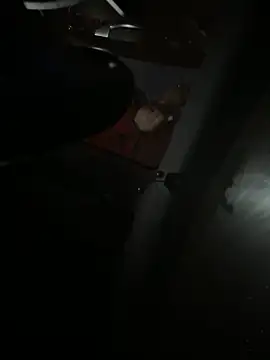 Mustafa-231 online show from November 29, 2025, 6:33 pm