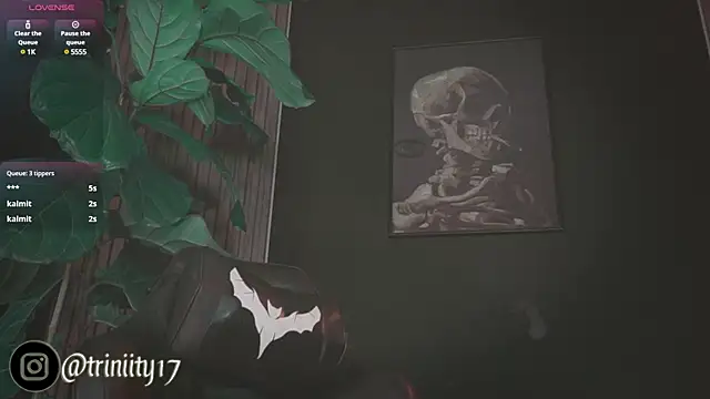 Snapshot of Trinity___s chatting on January 1, 2025, 8:13 am Trinity s online show from January 1, 2025, 8:13 am