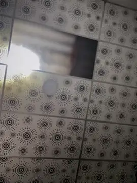 adam-rivera online show from October 20, 2025, 5:35 pm