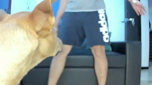 Snapshot of boss_of_cash chatting on October 18, 2025, 1:30 am boss of cash online show from October 18, 2025, 1:30 am