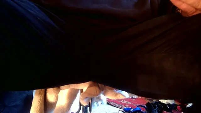 SilverandFox online show from September 10, 2025, 5:46 pm