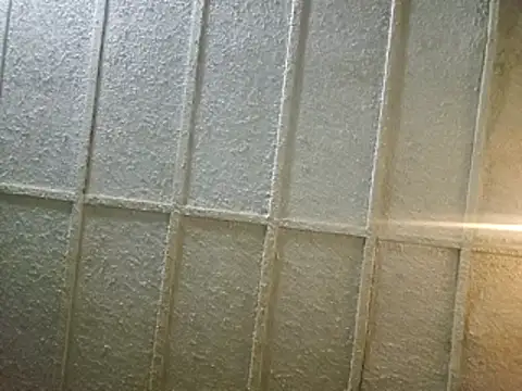 zaneporter46 online show from February 8, 2025, 6:54 am