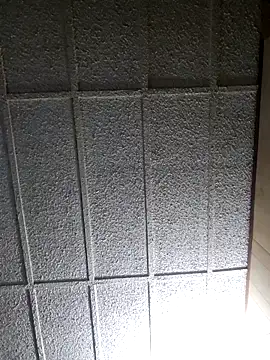 zaneporter46 online show from March 1, 2025, 9:07 am