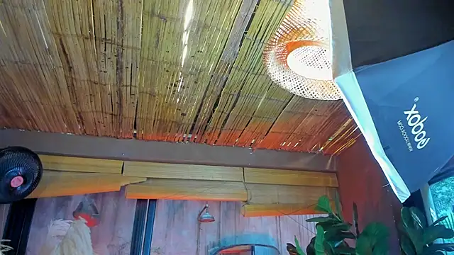 Snapshot of MarcoVitto chatting on November 18, 2025, 7:29 pm MarcoVitto online show from November 18, 2025, 7:29 pm